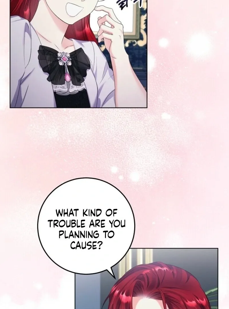 Celeb Lady Chapter 51 page 5
