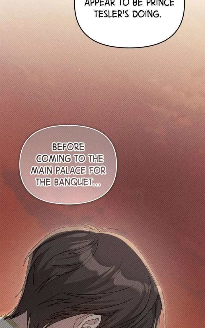 I Was The Acting Empress But I Spent The First Night With Him Chapter 59 page 17
