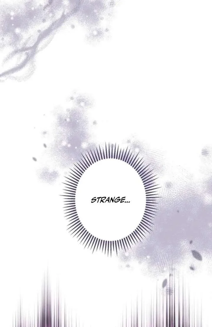 You Don’t Mind If I Destroy This Kingdom, Right? The Pure White Saintess Vows Revenge Chapter 4 page 18