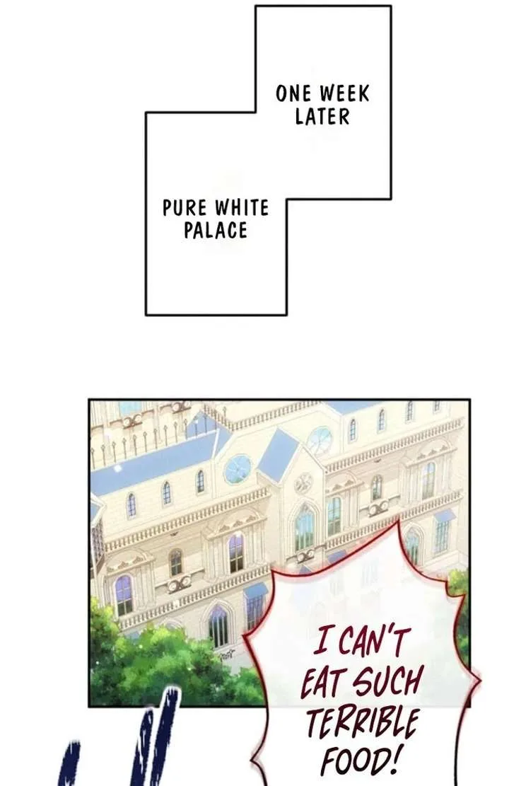 You Don’t Mind If I Destroy This Kingdom, Right? The Pure White Saintess Vows Revenge Chapter 8 page 11