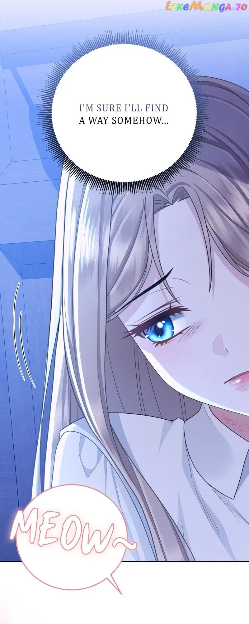 When Cinderella’s Magic Fades Away Chapter 16 page 41