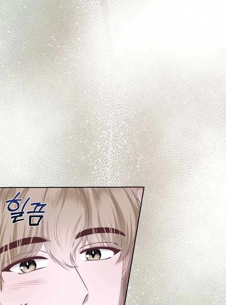 When Cinderella’s Magic Fades Away Chapter 71 page 28