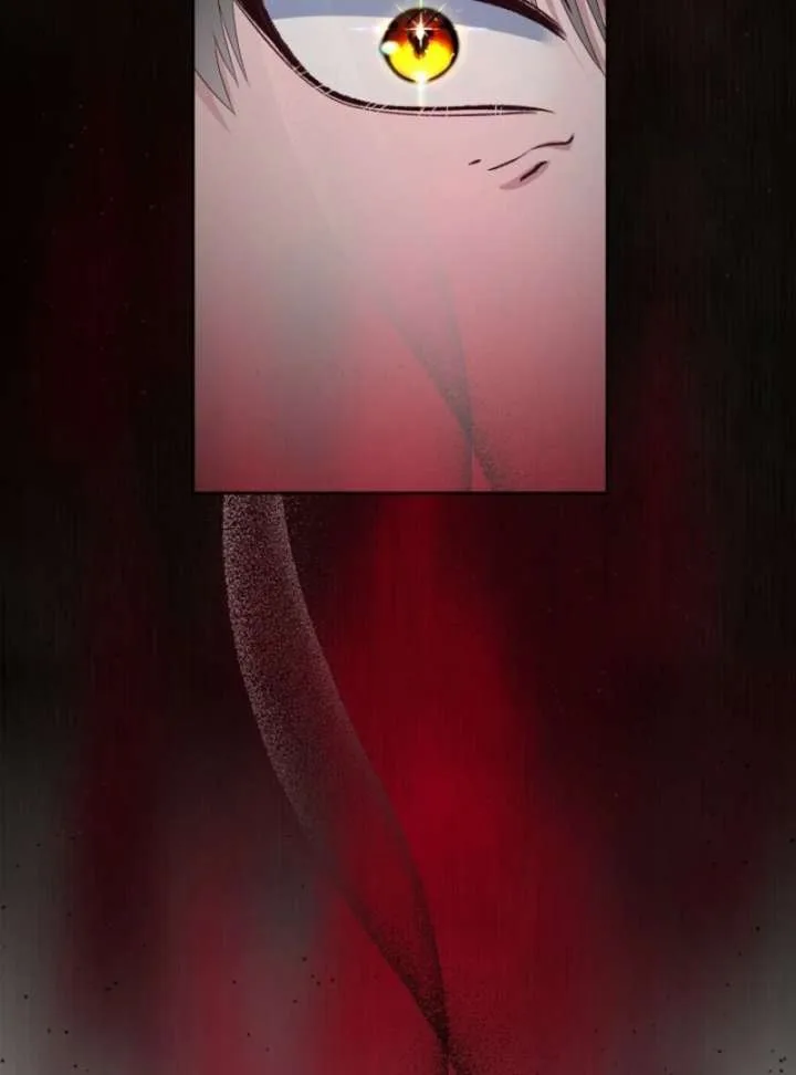 When Cinderella’s Magic Fades Away Chapter 79 page 16