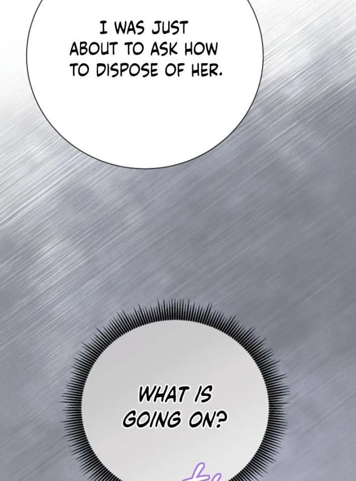 When Cinderella’s Magic Fades Away Chapter 79 page 95