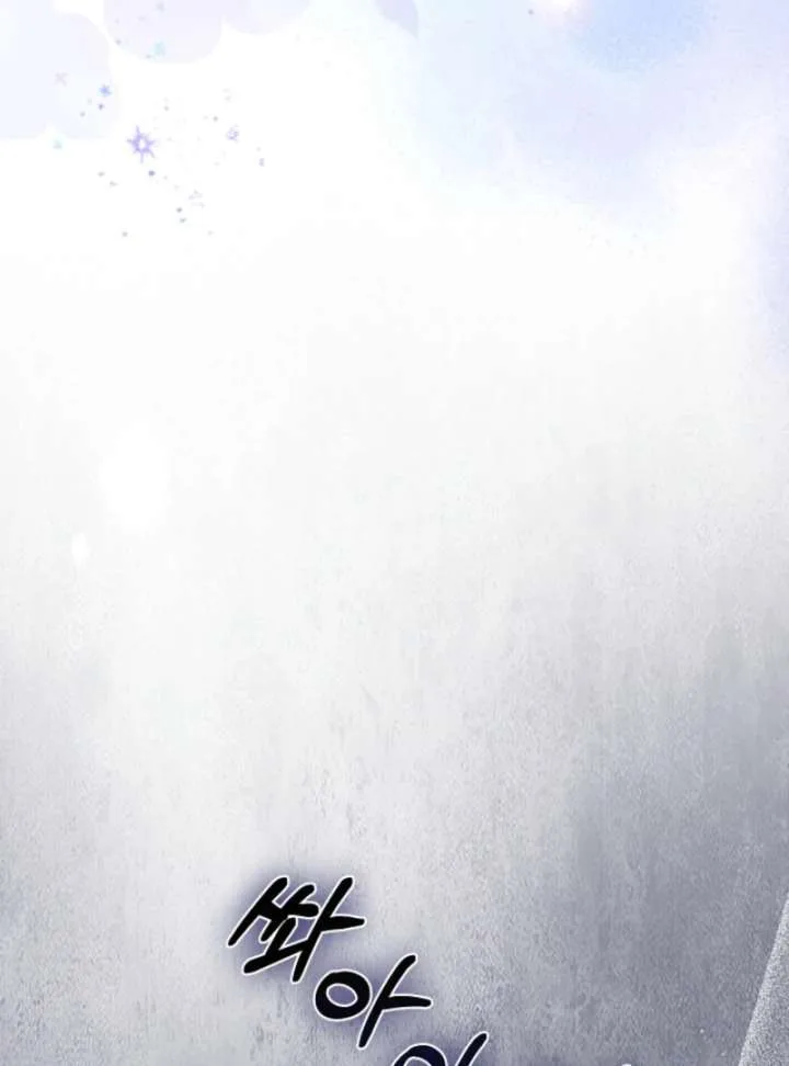 When Cinderella’s Magic Fades Away Chapter 75 page 99
