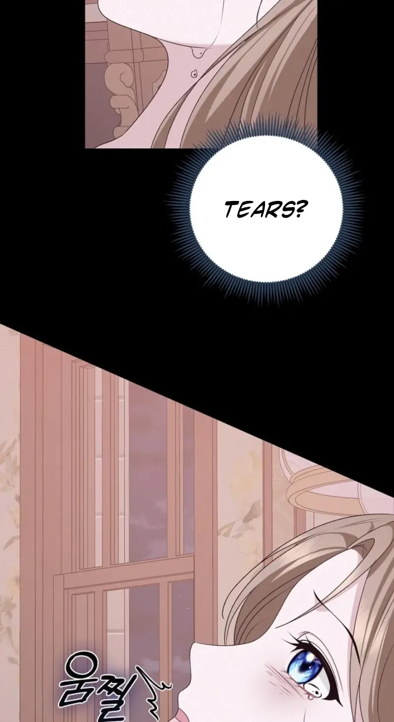 When Cinderella’s Magic Fades Away Chapter 105 page 94