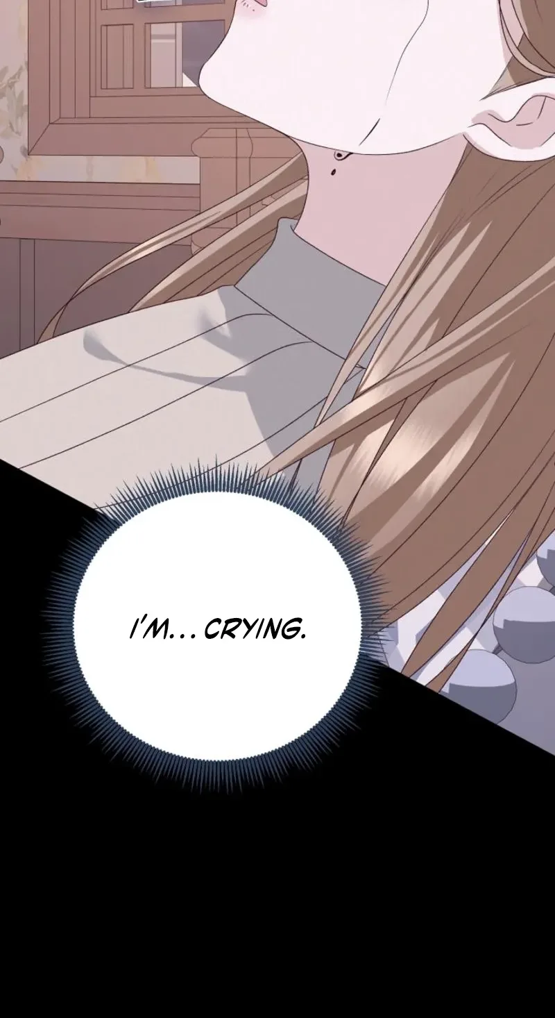 When Cinderella’s Magic Fades Away Chapter 105 page 95