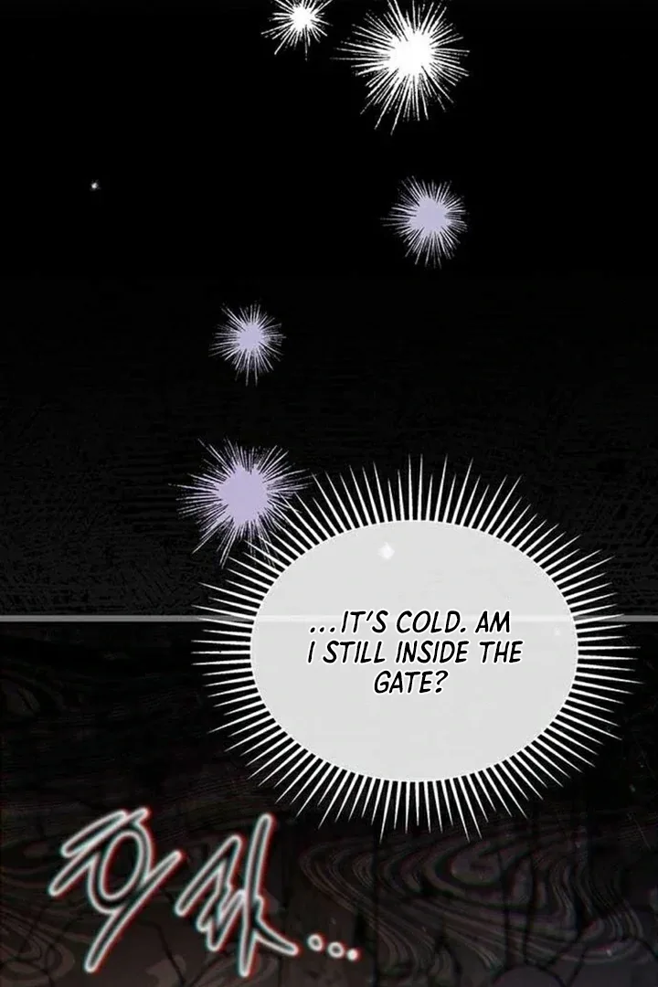 Lv.99 Princess of Black Flame Chapter 3 page 44