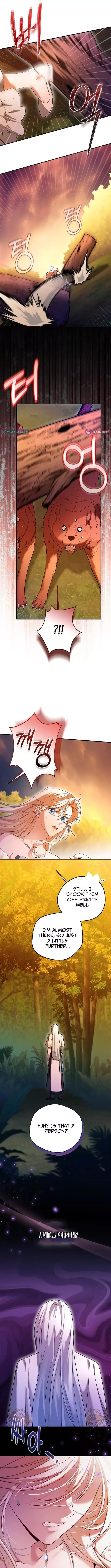 Trapped on a Remote Island With the Male Leads Chapter 24 page 3