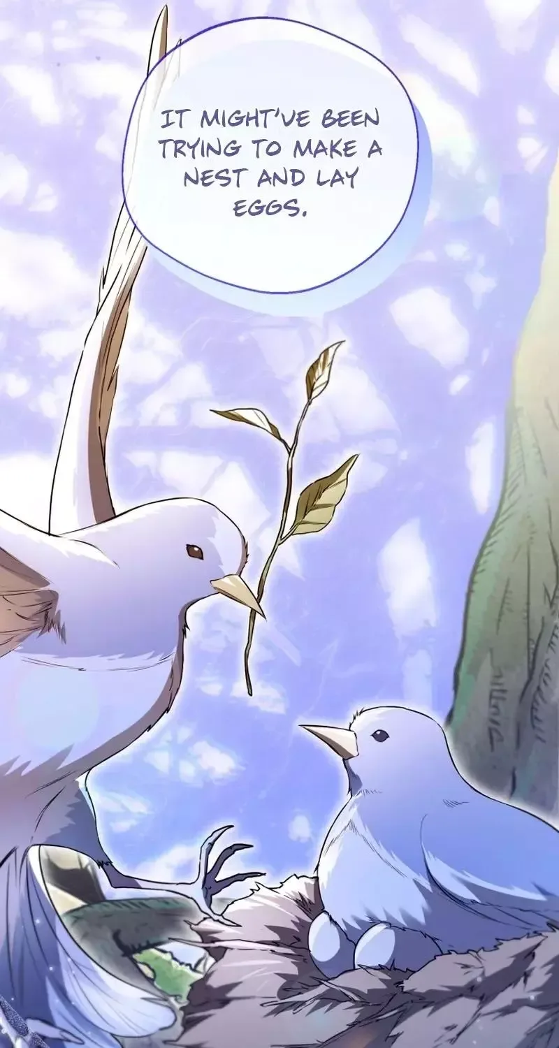 Trapped on a Remote Island With the Male Leads Chapter 41 page 41