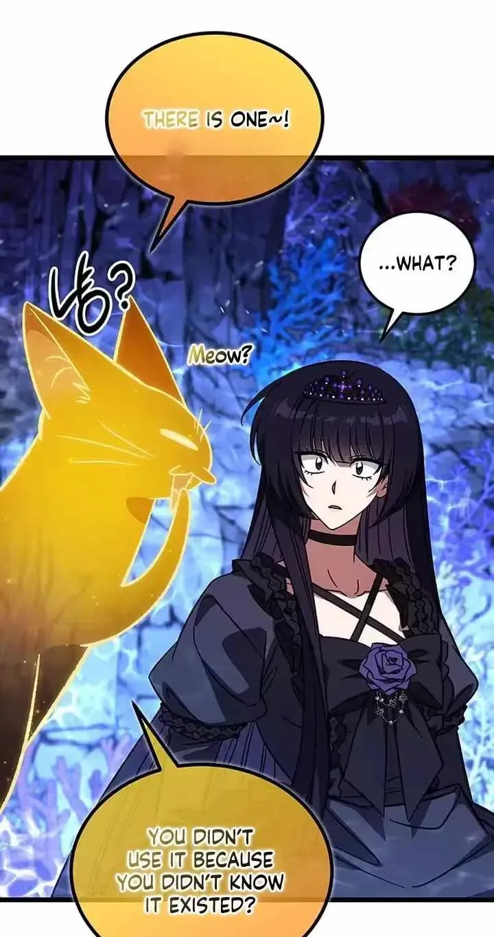 Lv.99 Princess of Black Flame Chapter 48 page 69