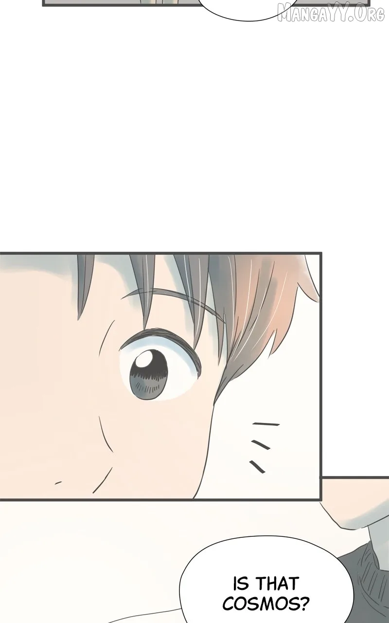 It Rains On Precious Days Chapter 190 page 67