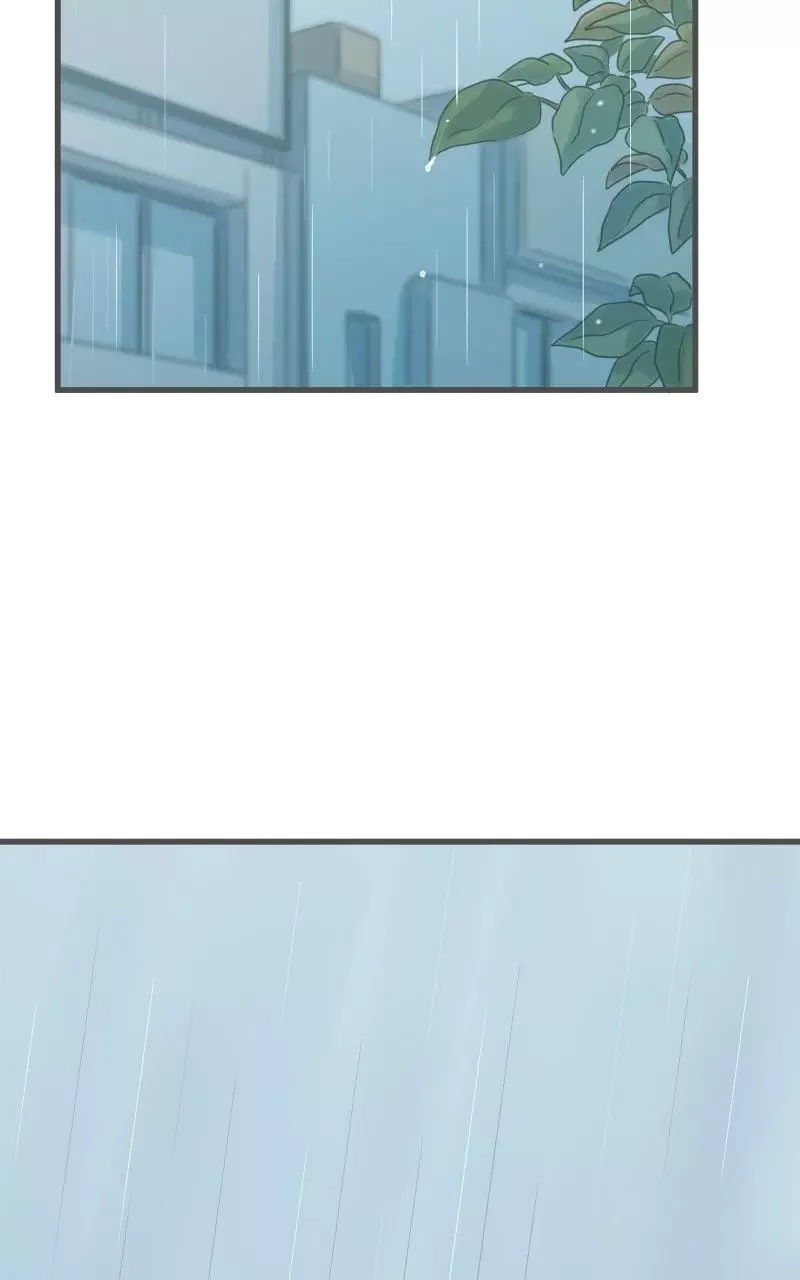 It Rains On Precious Days Chapter 219 page 41