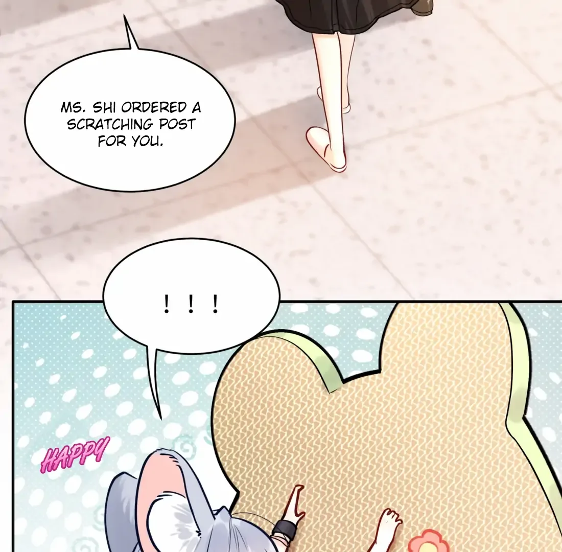 Surrendering To My Enemy's Cold Embrace Chapter 6 page 51