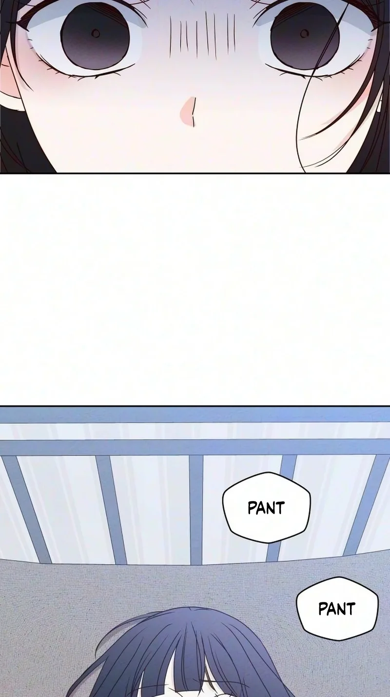 My Meddler in Love Chapter 48 page 46