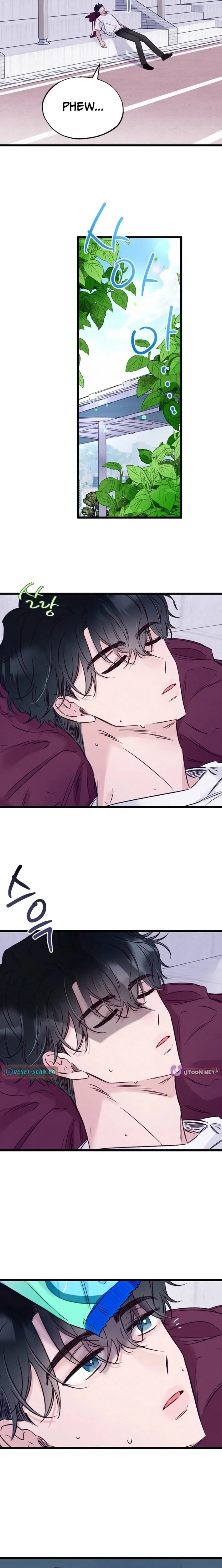 The Beauty of Class 8 Chapter 11 page 8