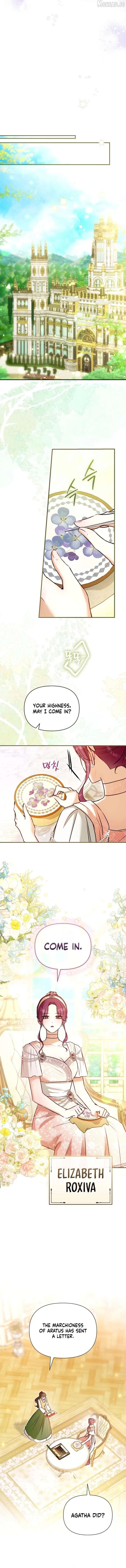 The Seventh Marriage Awaits Chapter 44 page 11