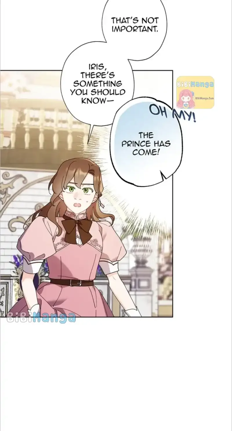 A Wicked Tale of Cinderella's Stepmom Chapter 101 page 4