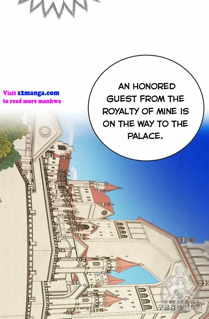 The Young Lady is A Royal Chef Chapter 19.5 page 33