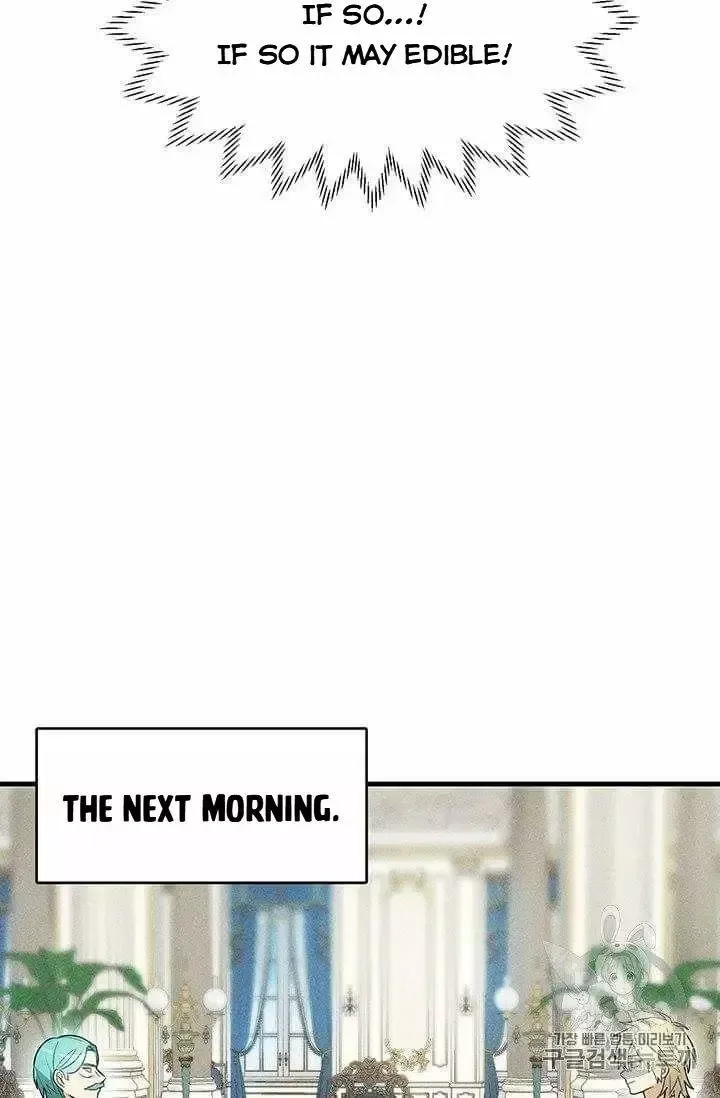 The Young Lady is A Royal Chef Chapter 21.5 page 17