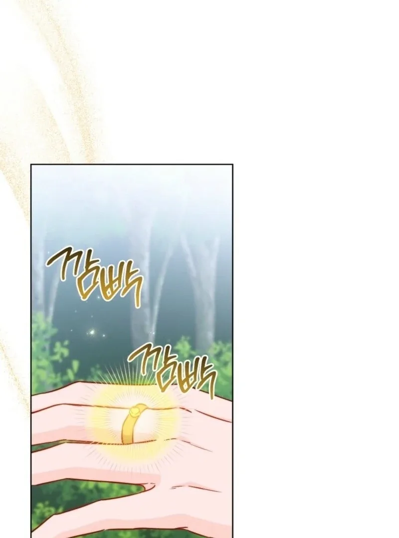 The Young Lady is A Royal Chef Chapter 185 page 28