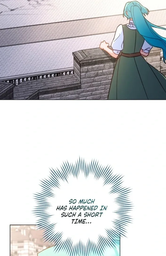The Young Lady is A Royal Chef Chapter 186 page 62