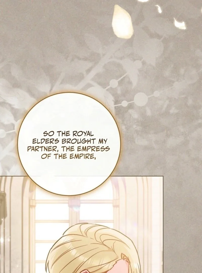 The Young Lady is A Royal Chef Chapter 189 page 20