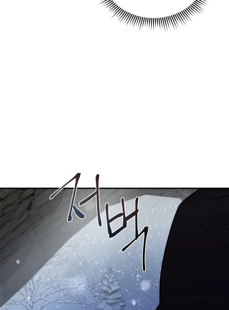 I'm a Solo Guide Chapter 1 page 117