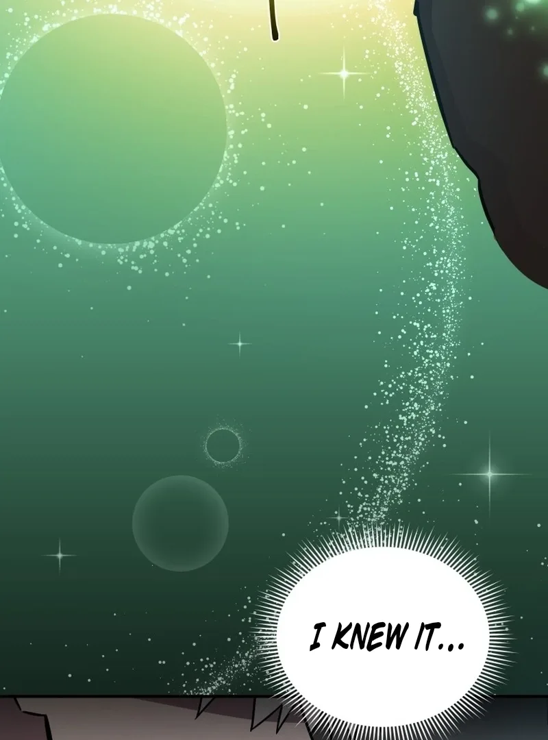 I'm a Solo Guide Chapter 1 page 243