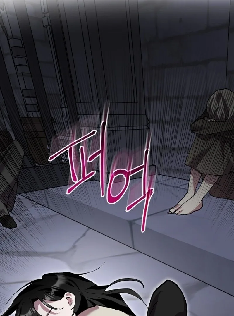 I'm a Solo Guide Chapter 16 page 95