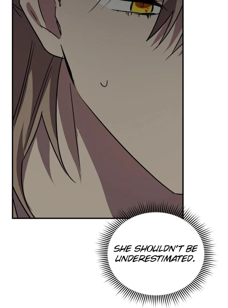 I'm a Solo Guide Chapter 18 page 117