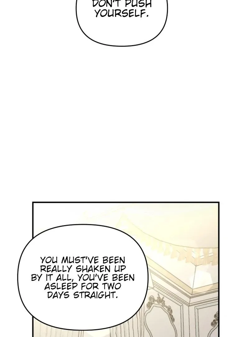 I'm a Solo Guide Chapter 26 page 62