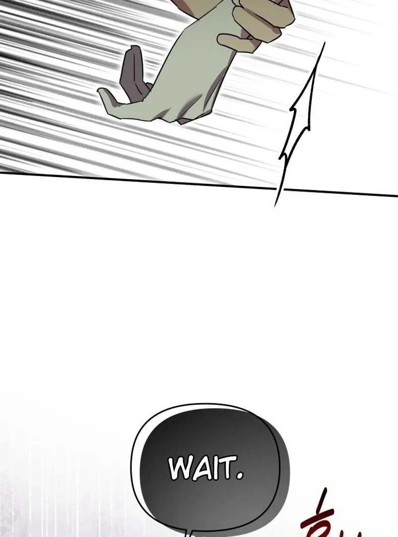 I'm a Solo Guide Chapter 33 page 9