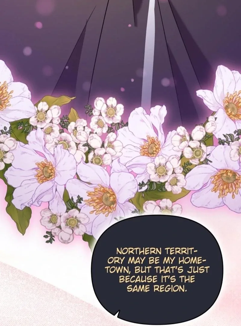 I'm a Solo Guide Chapter 31 page 14