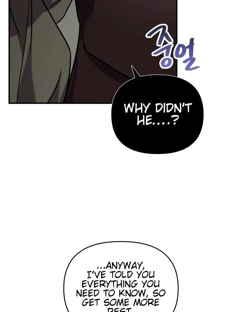 I'm a Solo Guide Chapter 26 page 113