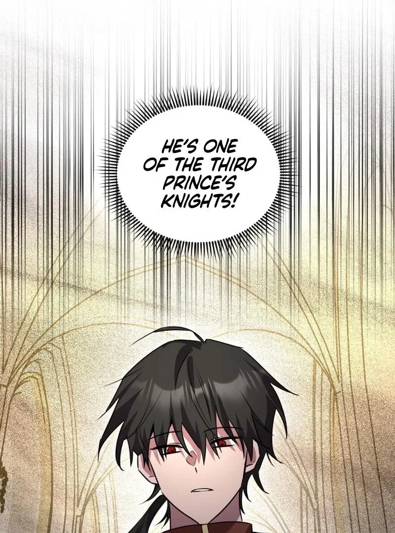 I'm a Solo Guide Chapter 25 page 78