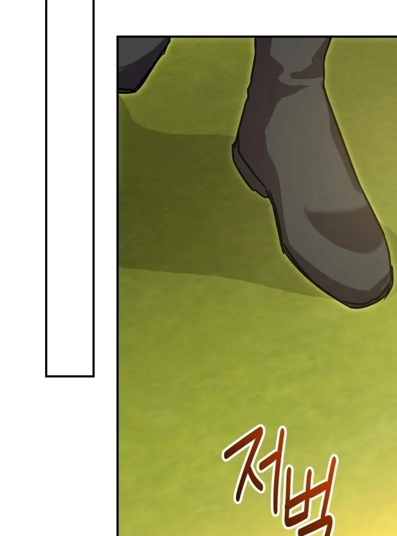 I'm a Solo Guide Chapter 29 page 86