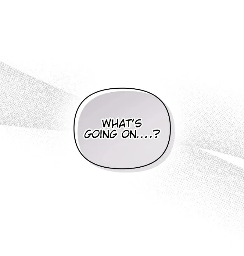 I'm a Solo Guide Chapter 26 page 117
