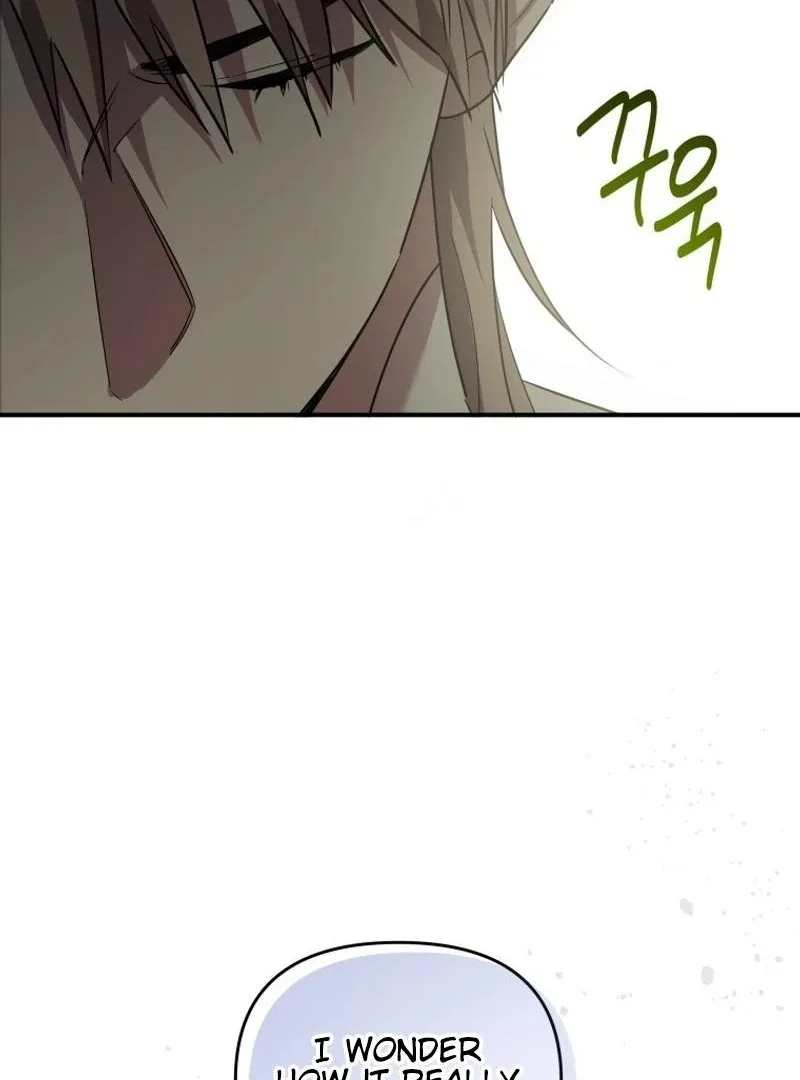 I'm a Solo Guide Chapter 27 page 106