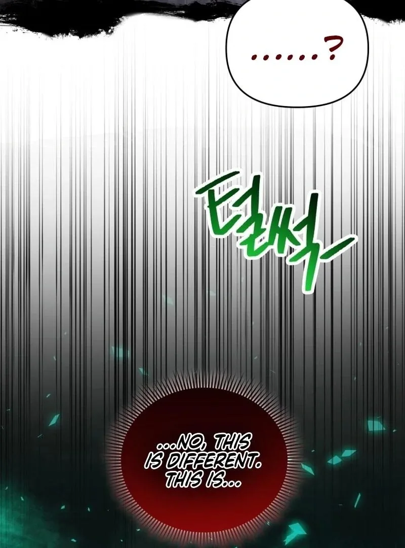 I'm a Solo Guide Chapter 25 page 119