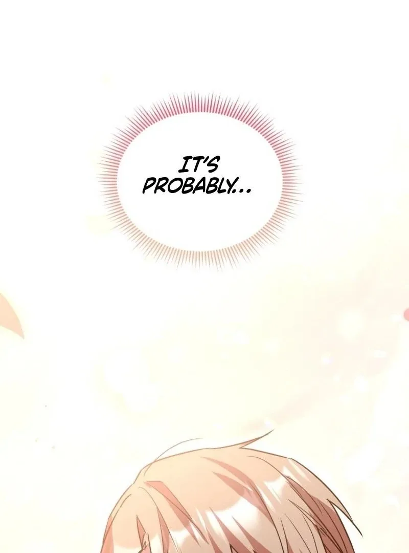 I'm a Solo Guide Chapter 29 page 144