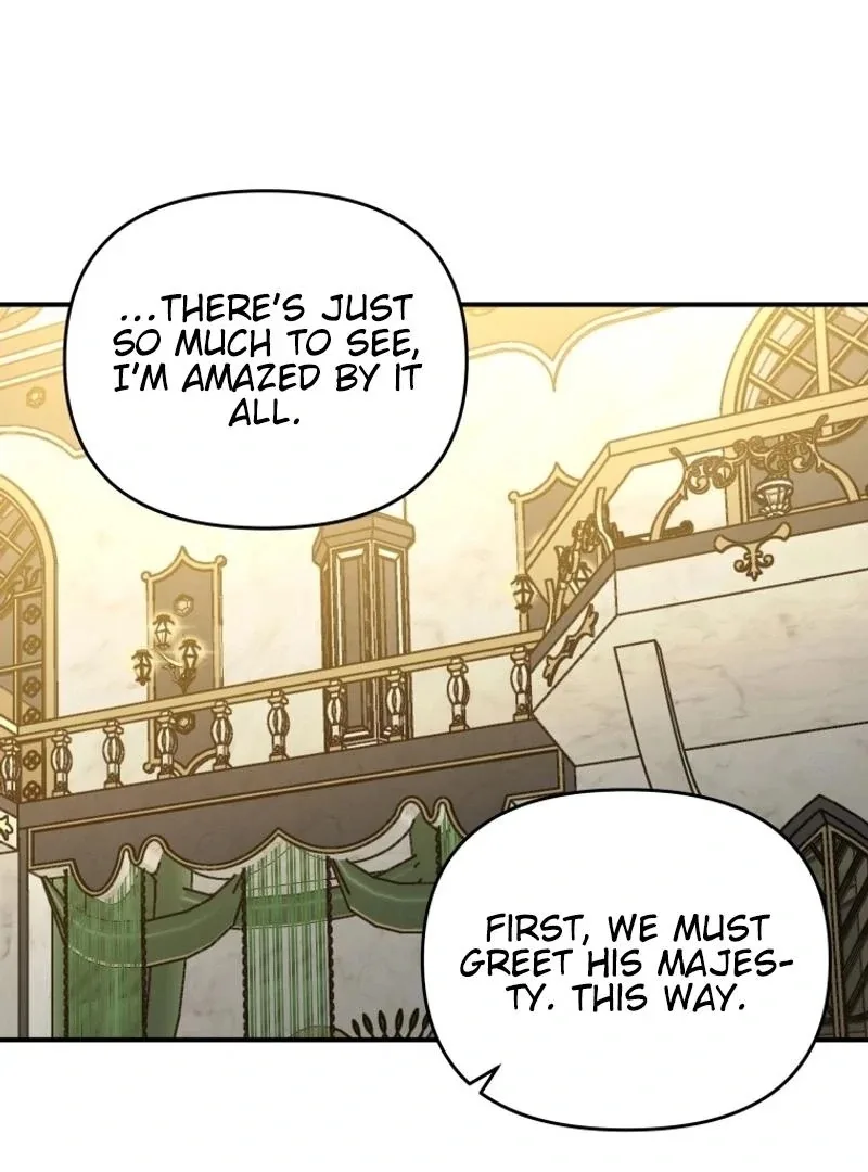 I'm a Solo Guide Chapter 35 page 28