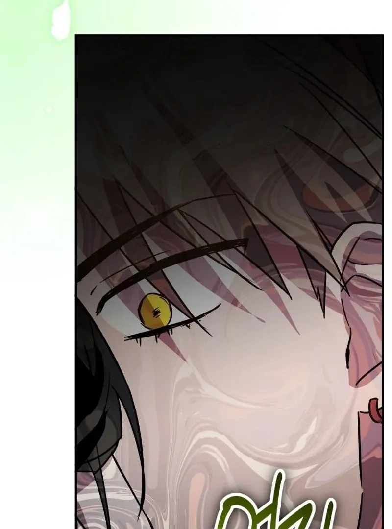 I'm a Solo Guide Chapter 36 page 78