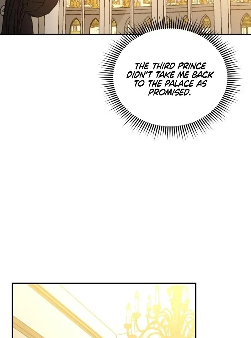 I'm a Solo Guide Chapter 41 page 25