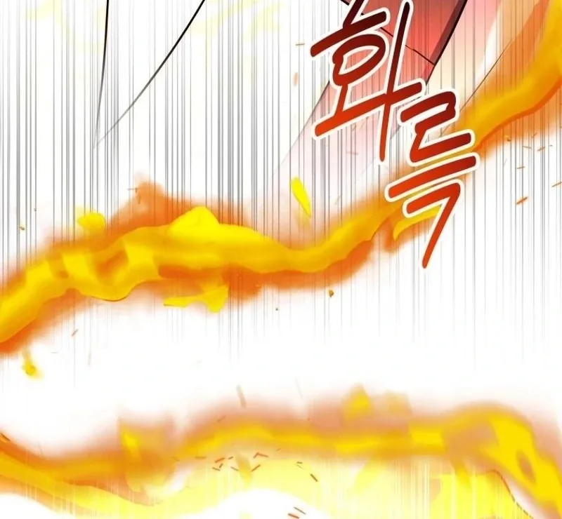 I'm a Solo Guide Chapter 40 page 67