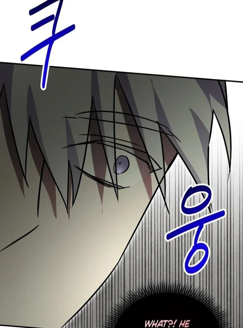 I'm a Solo Guide Chapter 39 page 98