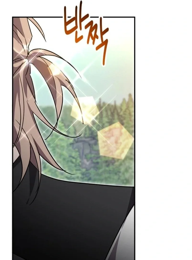 I'm a Solo Guide Chapter 39 page 136