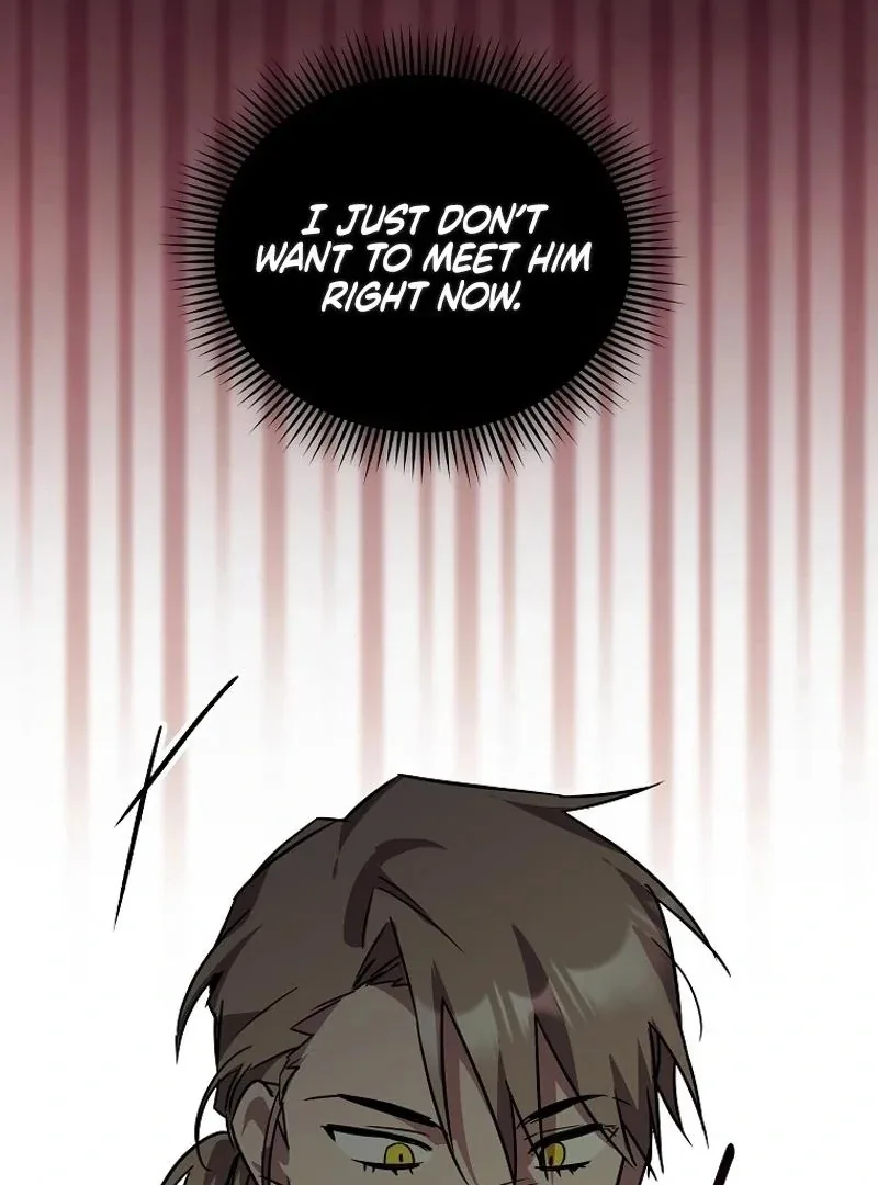 I'm a Solo Guide Chapter 41 page 116