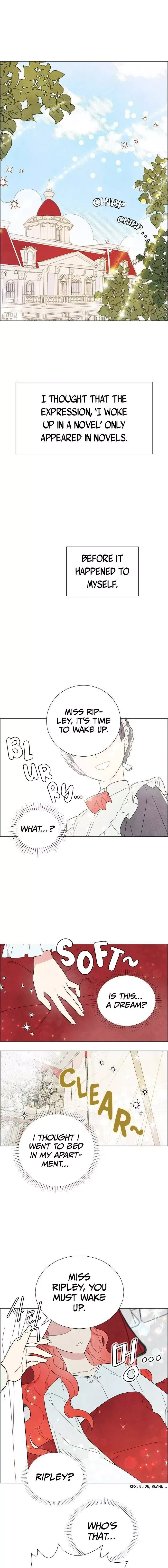 I Stole The Male Lead's First Night Chapter 1 page 1