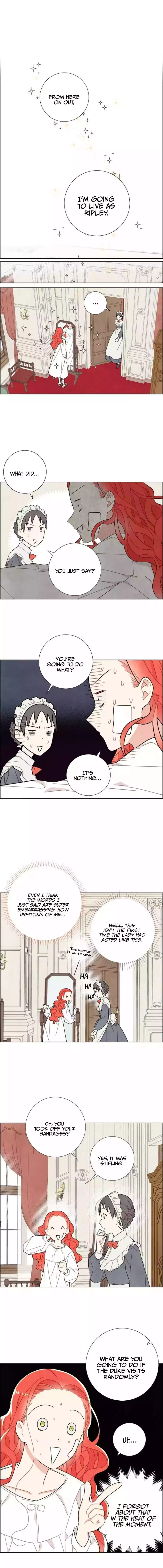 I Stole The Male Lead's First Night Chapter 19 page 1